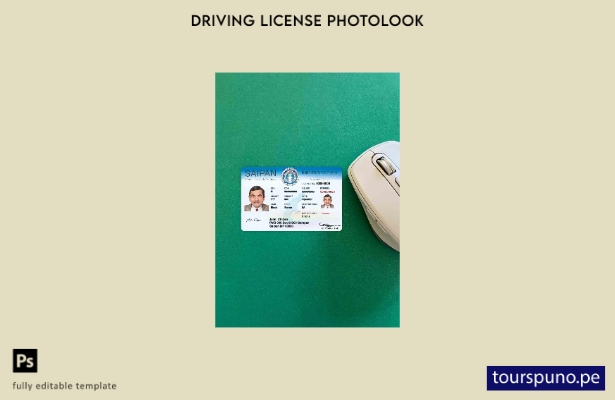 listo para imprimir Plantilla FRONTAL de aspecto fotográfico de conducción de Sa